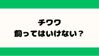 チワワ 飼ってはいけない